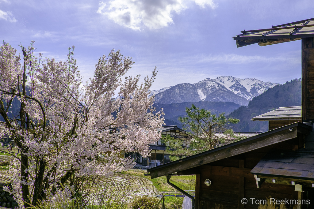 beeld van dorp in Japanse Alpen met Sakura bloesems en de bergen
