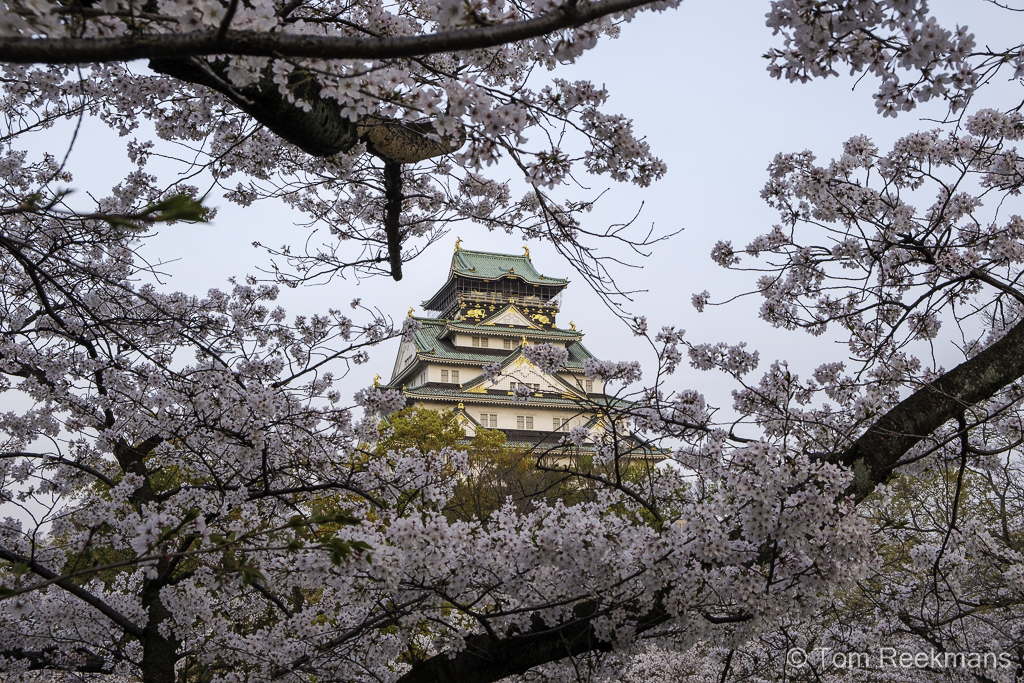 Beeld van kasteel tussen de kersenbloesems